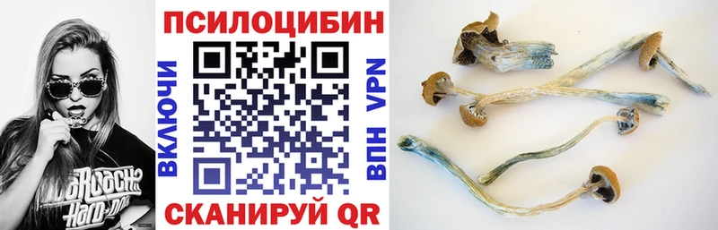 Галлюциногенные грибы Magic Shrooms  Купить  Клин 